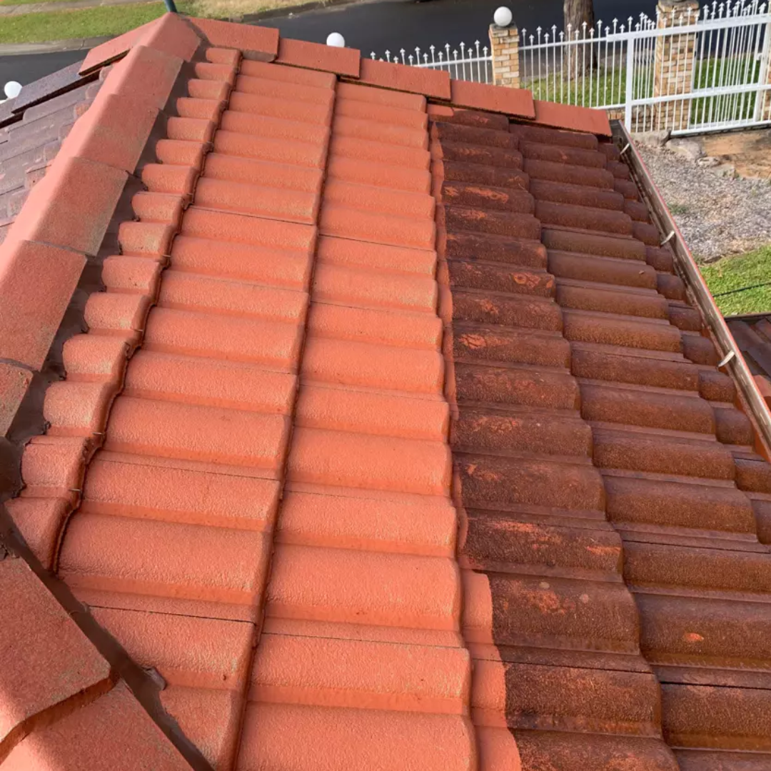 Roof Cleaning