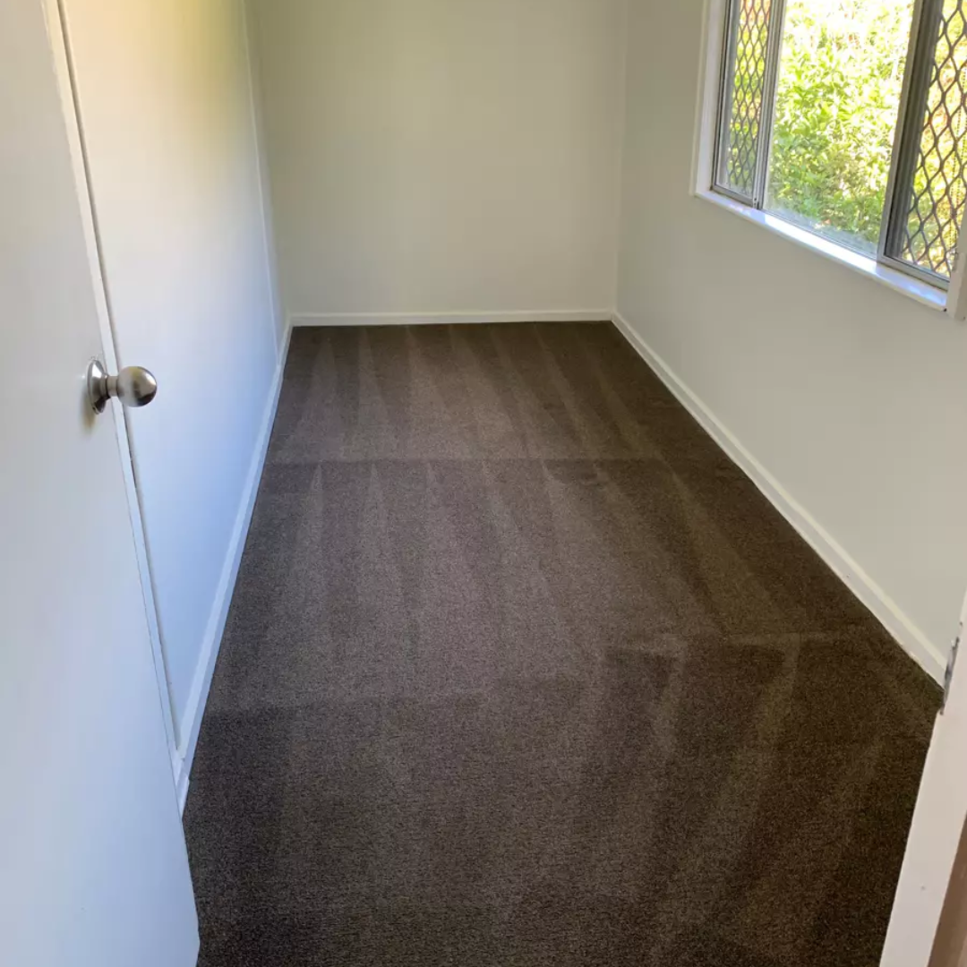 Carpet Steam Cleaning